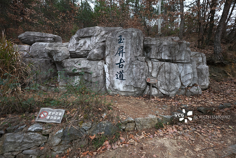 黄冈罗田塔山公园清元禅寺樱花盛开图片素材