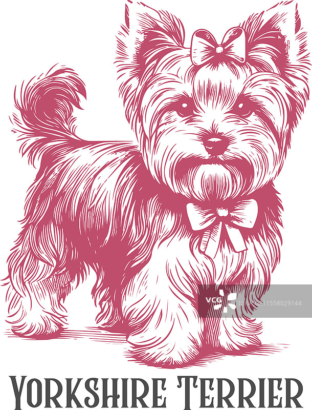 站立的约克夏犬手工雕刻图片素材