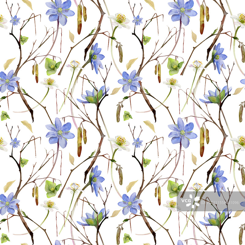 带有猫耳花的春季白色森林树枝图片素材