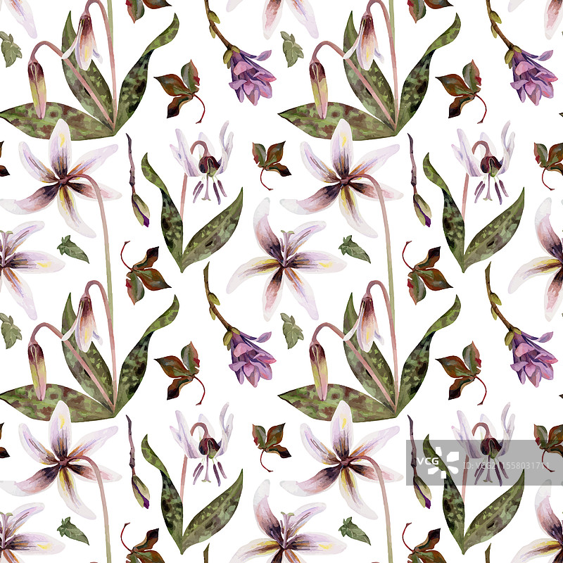 春天的花朵：紫色兰花、紫花苜蓿和白色鳟鱼图片素材