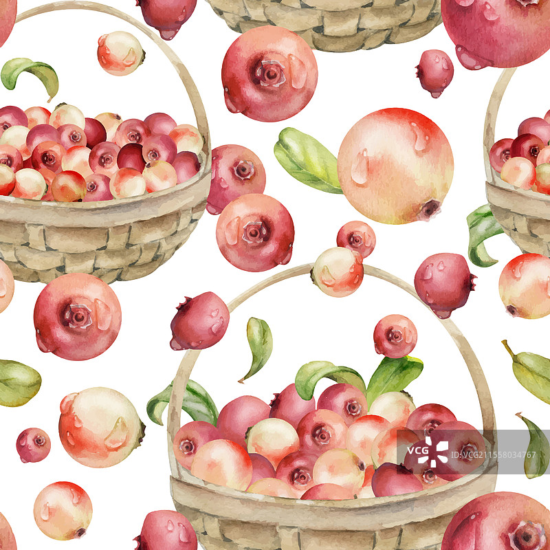 编织篮子里的越橘和蔓越莓叶子图片素材