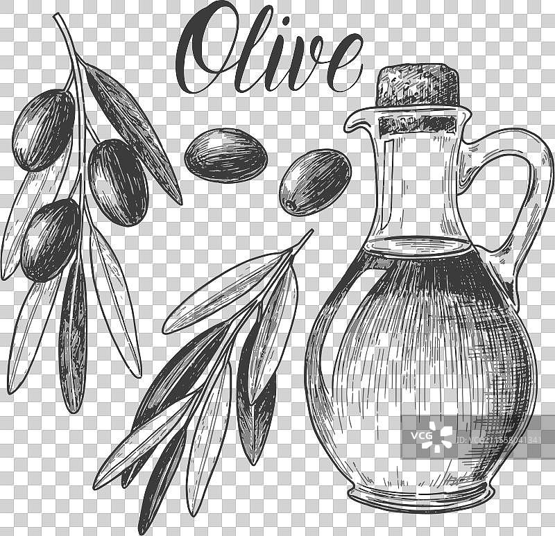 橄榄油和植物的素描墨水图形套件草图图片素材