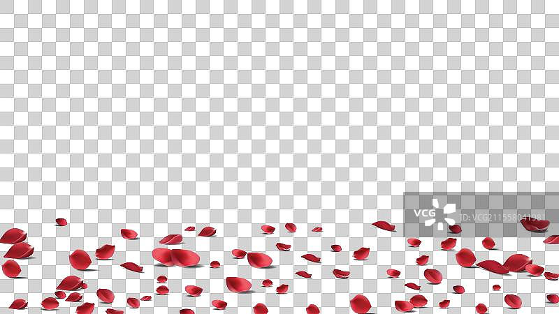 红色玫瑰花瓣将落在抽象花卉上图片素材