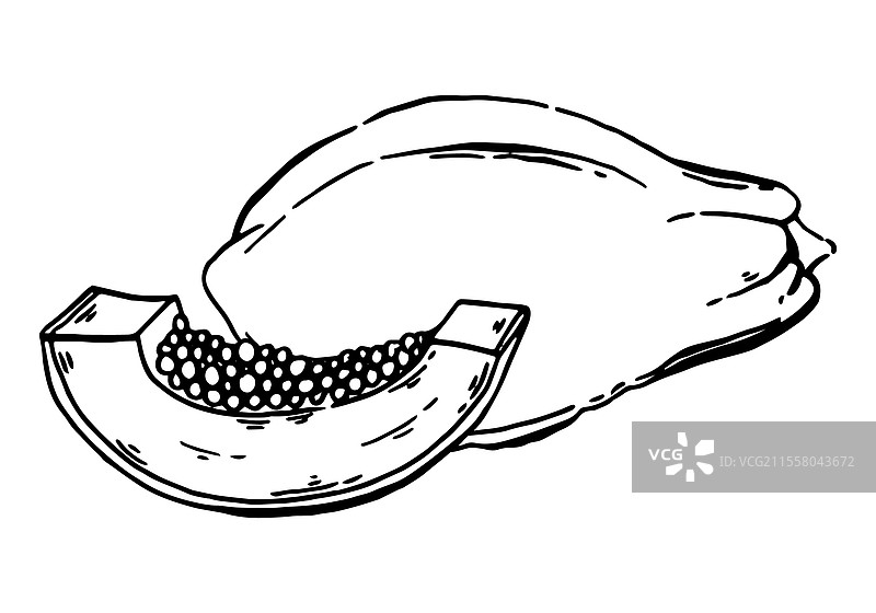 木瓜手绘素描图片素材