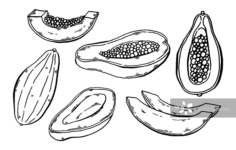 手绘木瓜套装图片素材