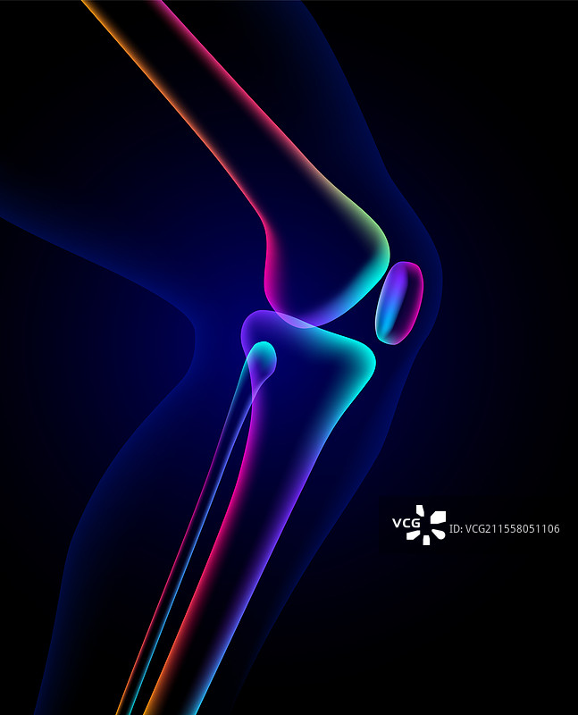 3D彩色膝关节骨骼的X光图像图片素材