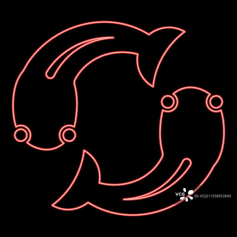 霓虹鱼虾虎鱼在红色圈中旋转两次图片素材