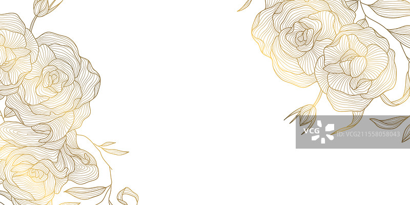 金色玫瑰线条背景花朵图片素材