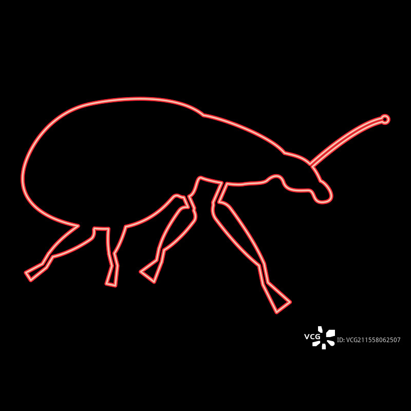 霓虹色的红色象鼻虫害虫平面风格图像图片素材