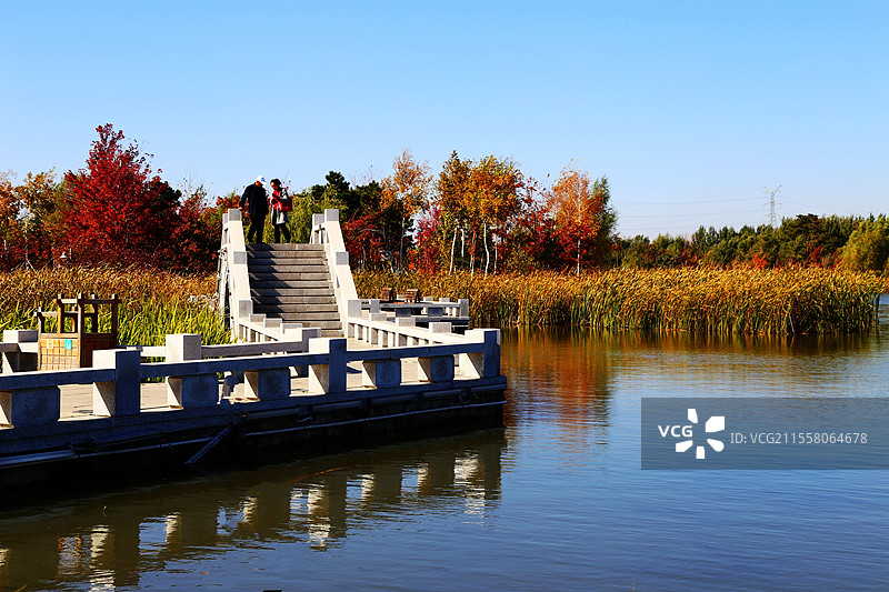 长春北湖湿地公园美丽的秋色图片素材