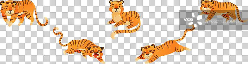 有趣的虎类捕食者，带有条纹的丛林动物图片素材