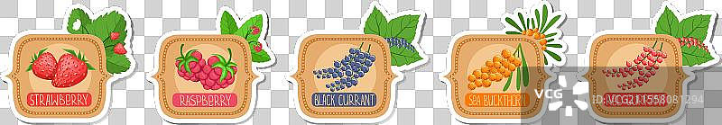 成熟多汁的水果贴纸和标签套装图片素材