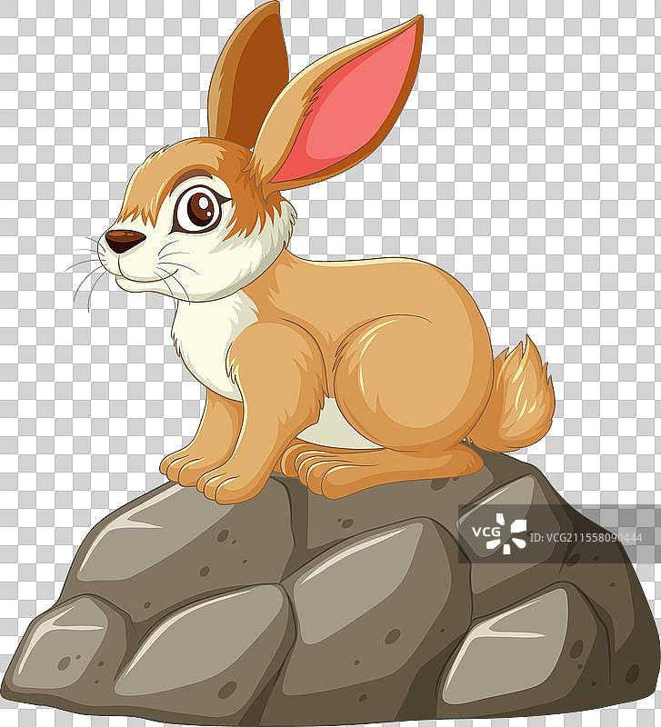 一只棕色兔子坐在石头上图片素材