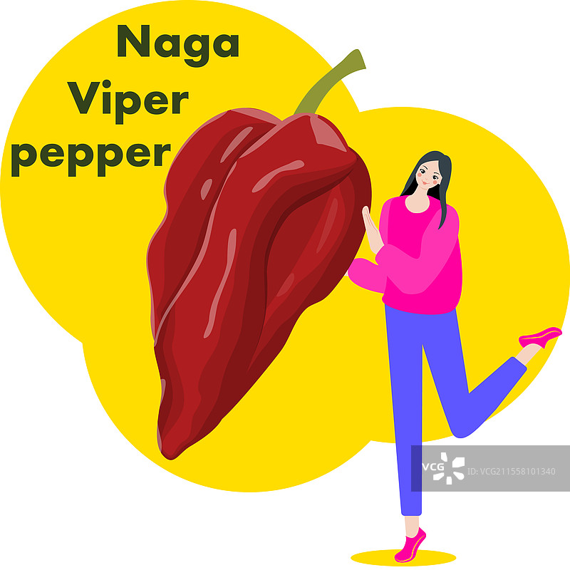 一位女性手持纳迦毒蛇辣椒图片素材