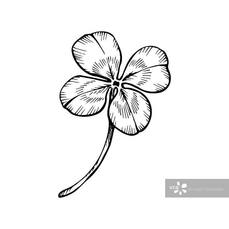 用黑色墨水绘制的四叶草图片素材