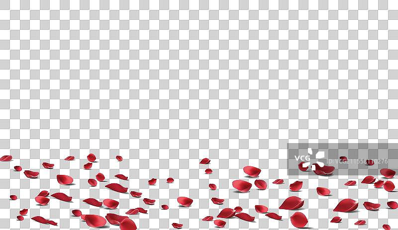 掉落的玫瑰花瓣，红色玫瑰花瓣在假花上图片素材
