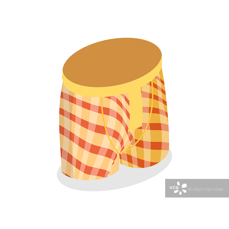 男性的三维等距平面图图片素材