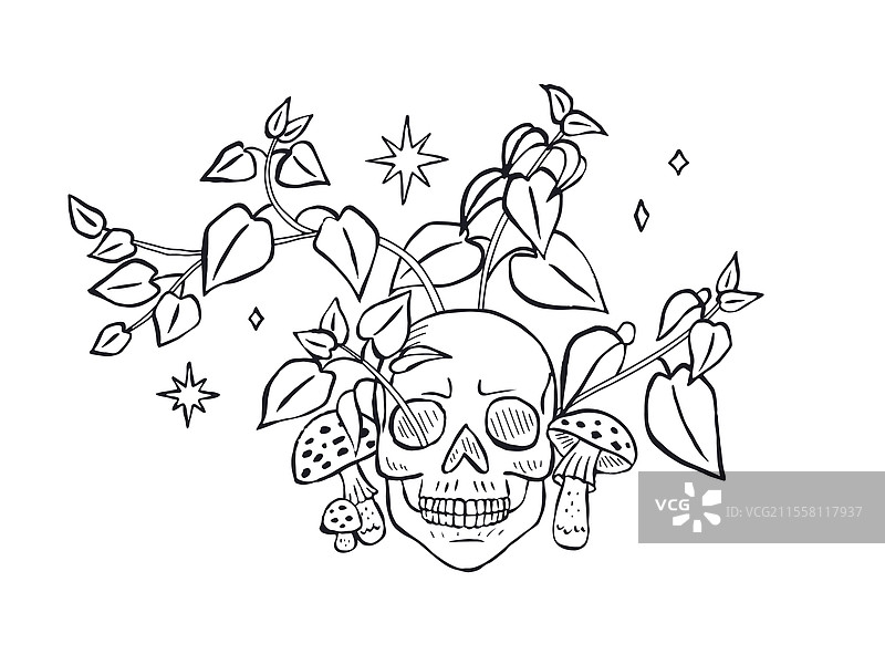 手绘的草图风格人类头骨，周围环绕着图片素材