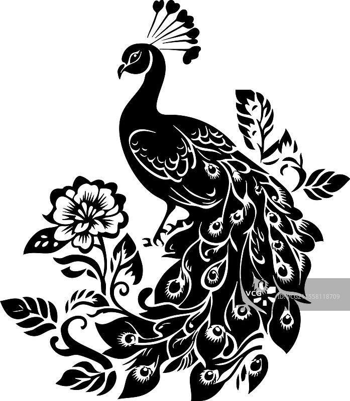 装饰性的孔雀与花卉鸟类野生动物图片素材