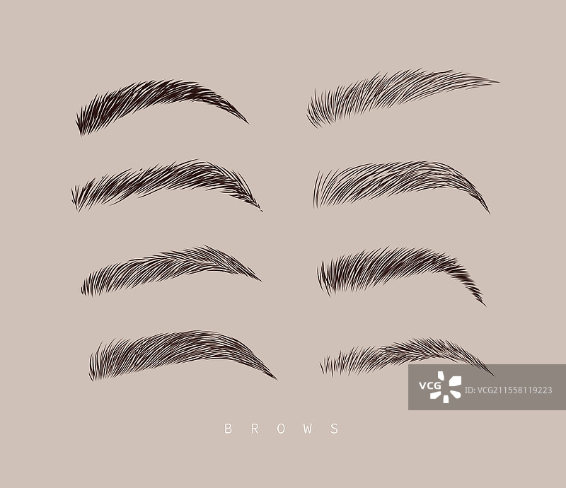 米色眉毛集合图片素材