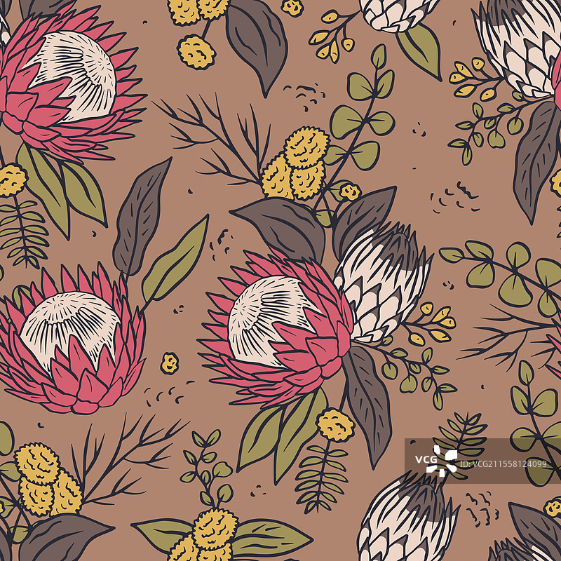 无缝图案，手绘的普罗提亚花朵图片素材