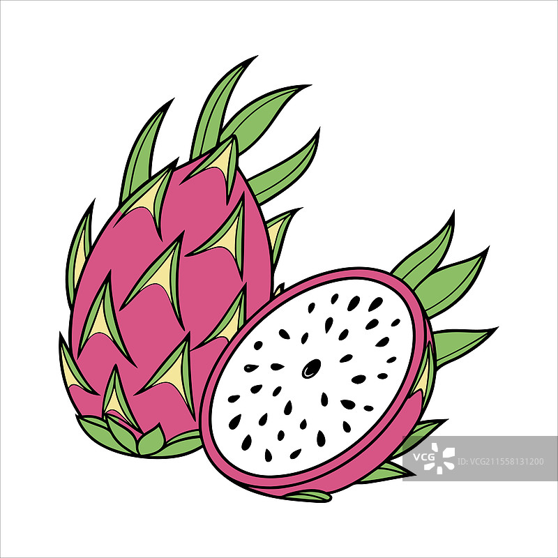 火龙果艺术图片素材