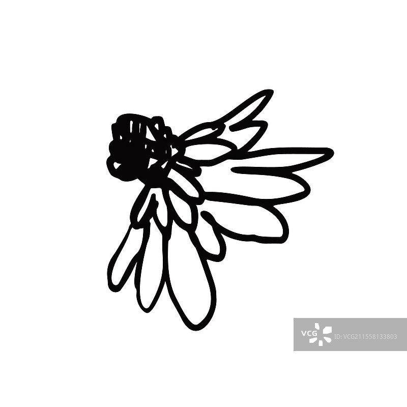 手绘黑墨抽象雏菊花图片素材