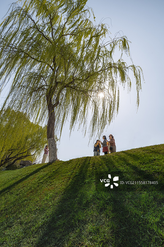 杨柳岸图片素材