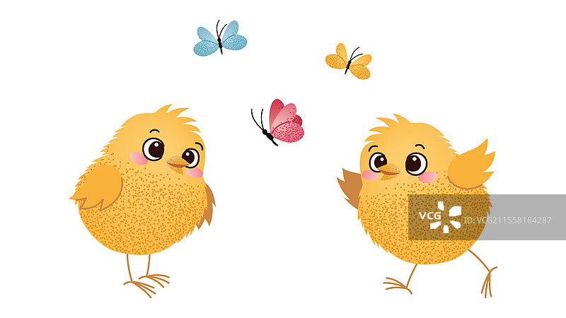 两只小鸟与蝴蝶在白色背景上图片素材