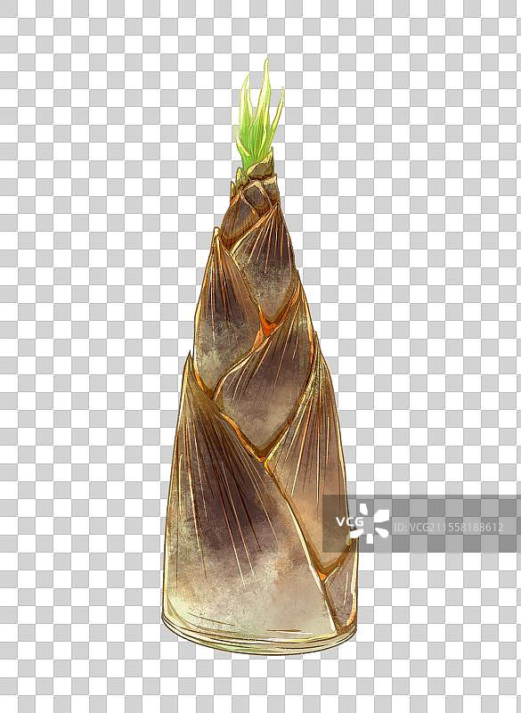 写实食物春笋竹笋图片素材