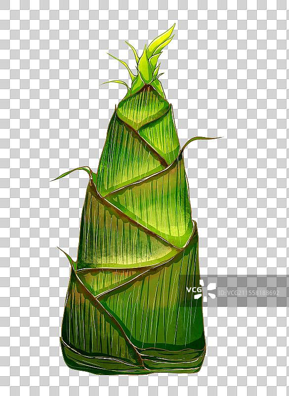 竹笋春笋图片素材