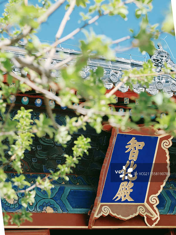 北京春天智化寺梨花古建筑丁香花朝外soho图片素材