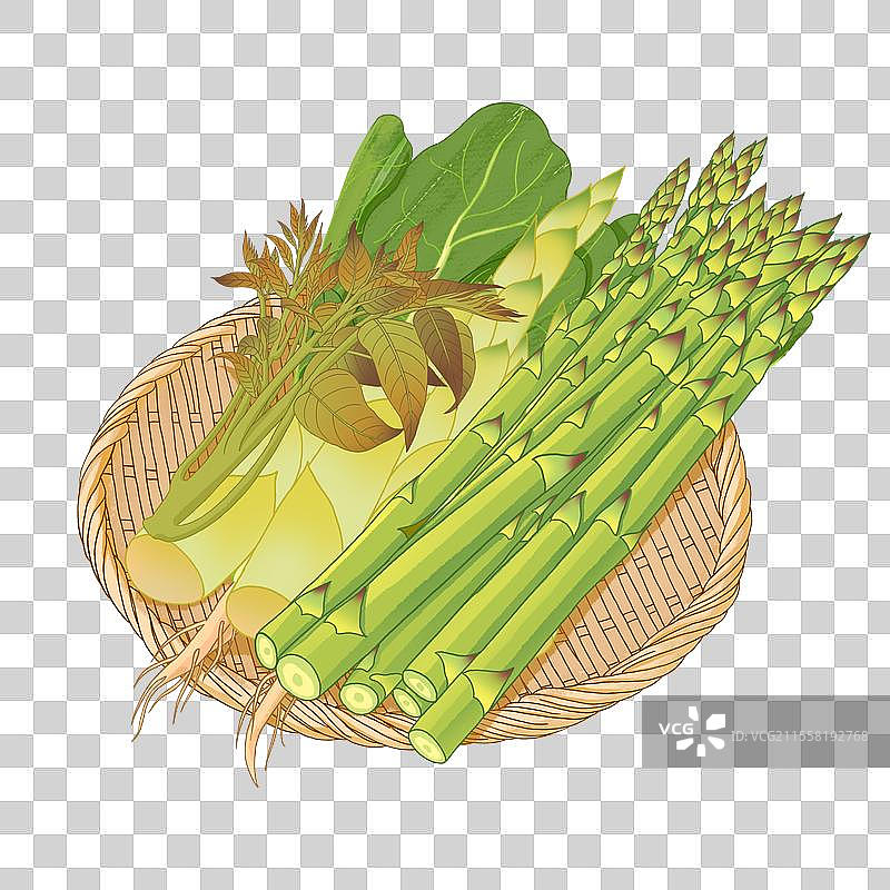 春天蔬菜插画素材图片素材
