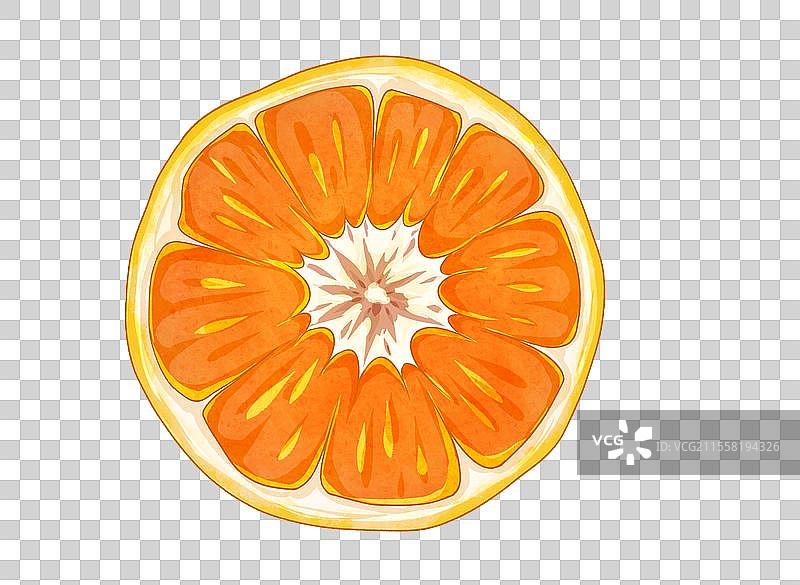 橘子橙子切片图片素材
