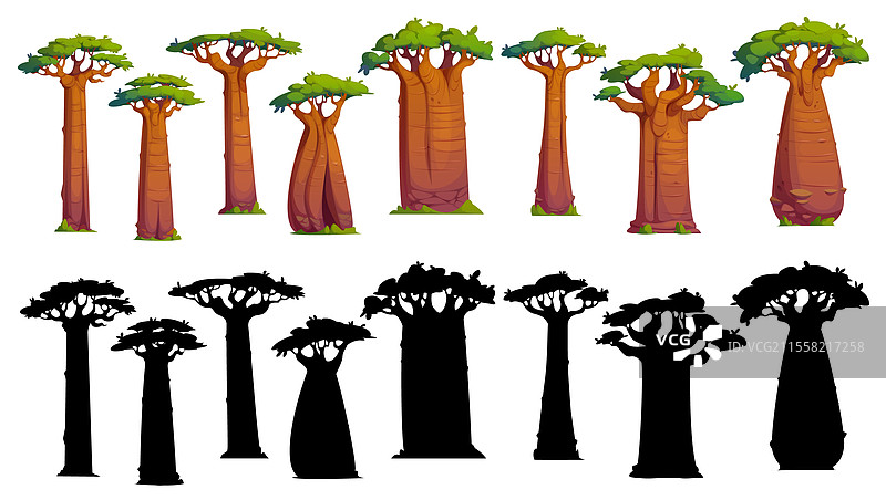 卡通的猴面包树和阿丹索尼亚轮廓图片素材