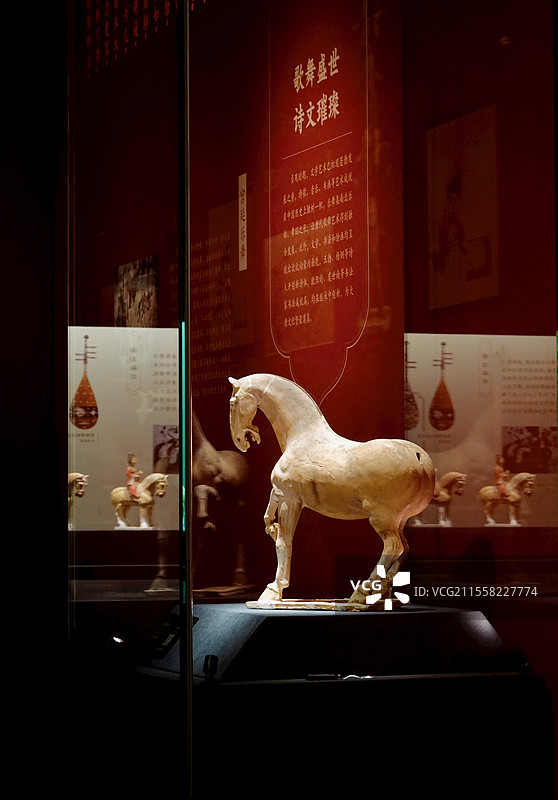 上海闵行博物馆贞观鉴展唐代白陶抬蹄马图片素材