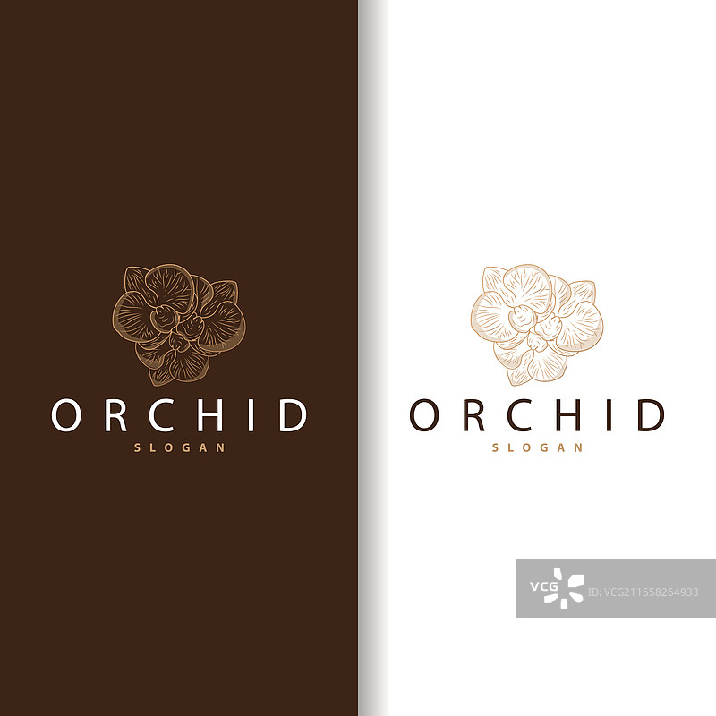 简单奢华优雅的兰花标志图片素材