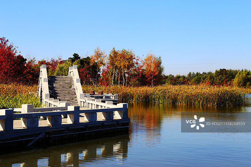长春北湖湿地公园美丽的秋色图片素材