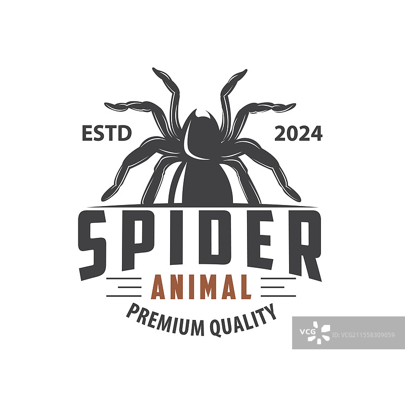 复古动物昆虫蜘蛛标志设计 复古图片素材