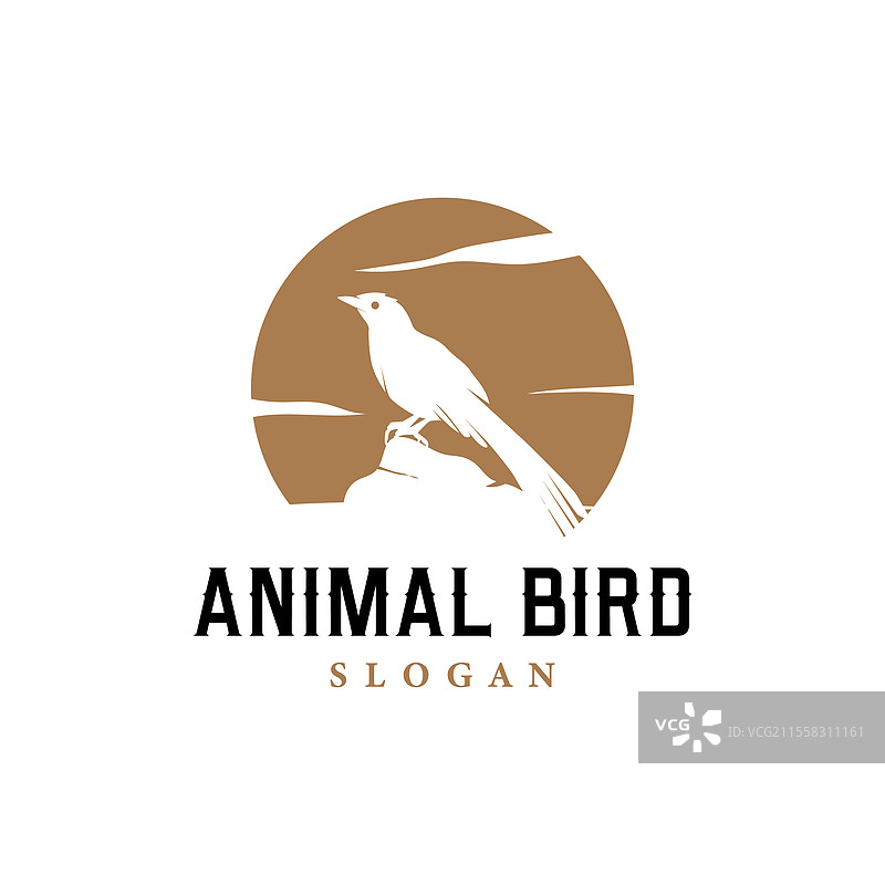 简单的黑色鸟类剪影标志概念设计图片素材