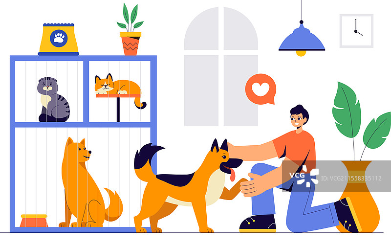 动物收养机构，专注于宠物领养图片素材