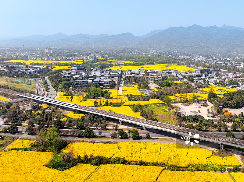 中国四川成都青城山下油菜花田里驶过的高铁动车航拍图图片素材