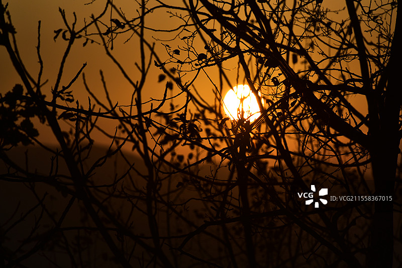 辽宁省本溪市五女山景区山顶日落树的剪影图片素材