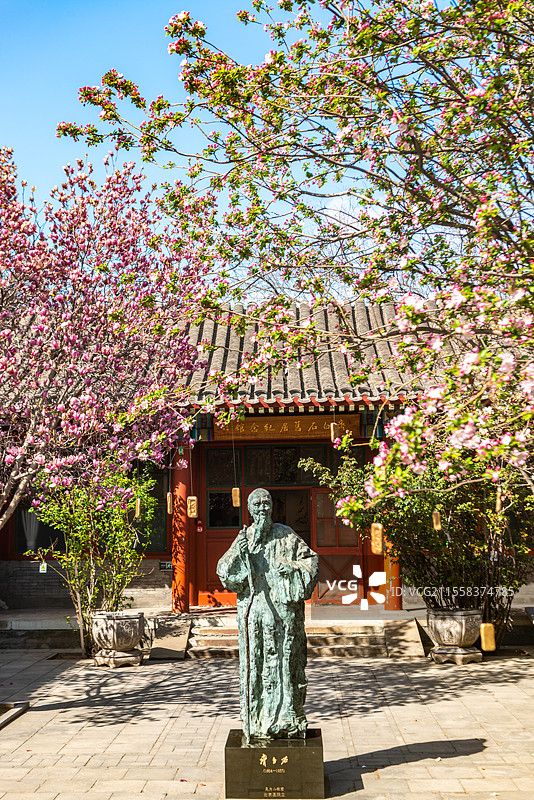 北京齐白石旧居纪念馆春天玉兰花海棠花开了图片素材