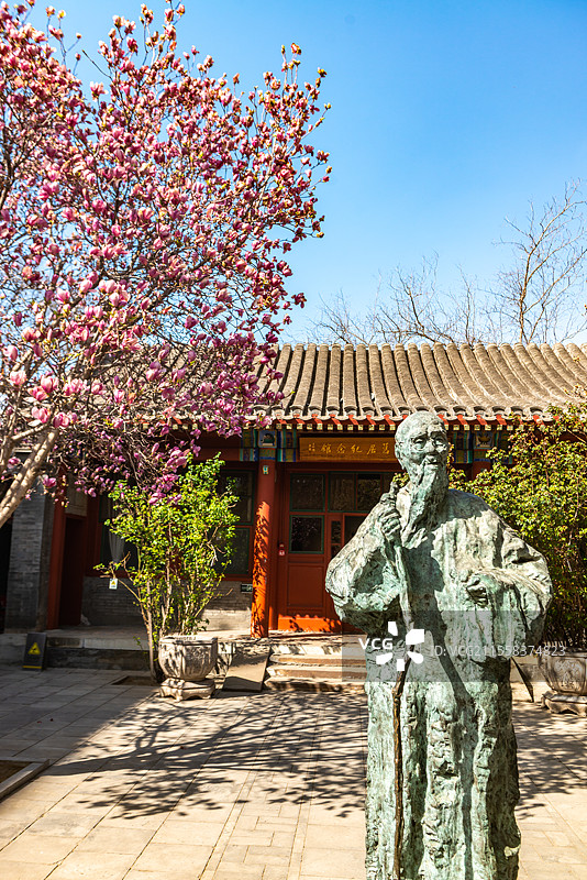 北京齐白石旧居纪念馆春天玉兰花海棠花开了图片素材