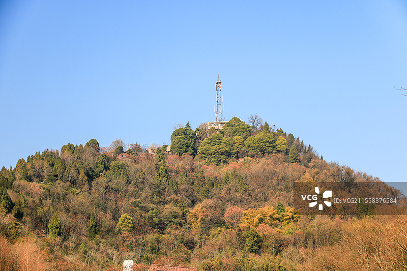 春天湖北宜昌磨基山森林公园风景图片素材