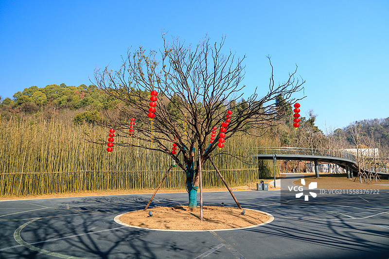 春天湖北宜昌磨基山森林公园风景图片素材