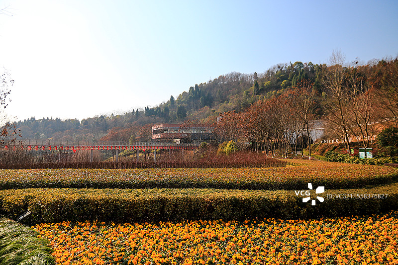 春天湖北宜昌磨基山森林公园风景图片素材