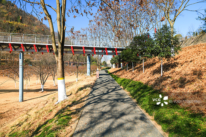 春天湖北宜昌磨基山森林公园风景图片素材