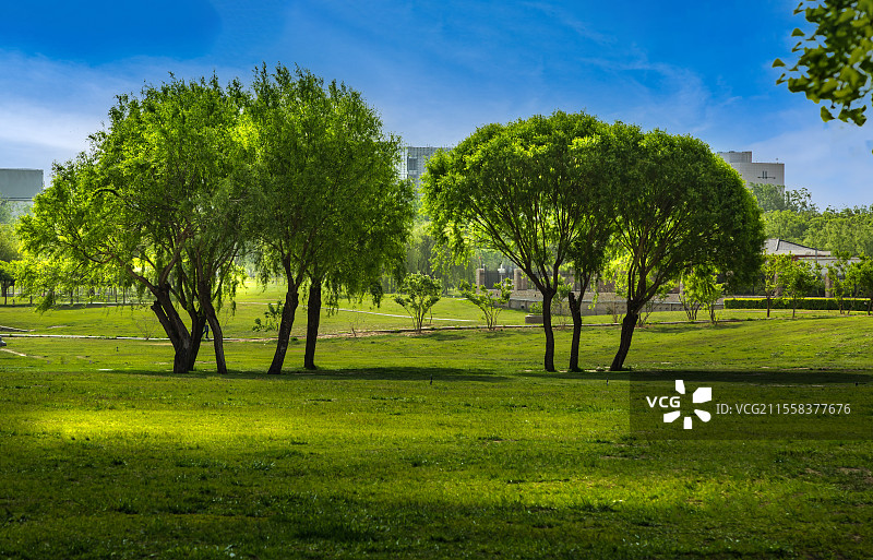 北京顺义西湖园公园图片素材